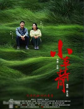 小草青青 第01集