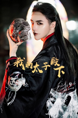 我的太子殿下 第01集