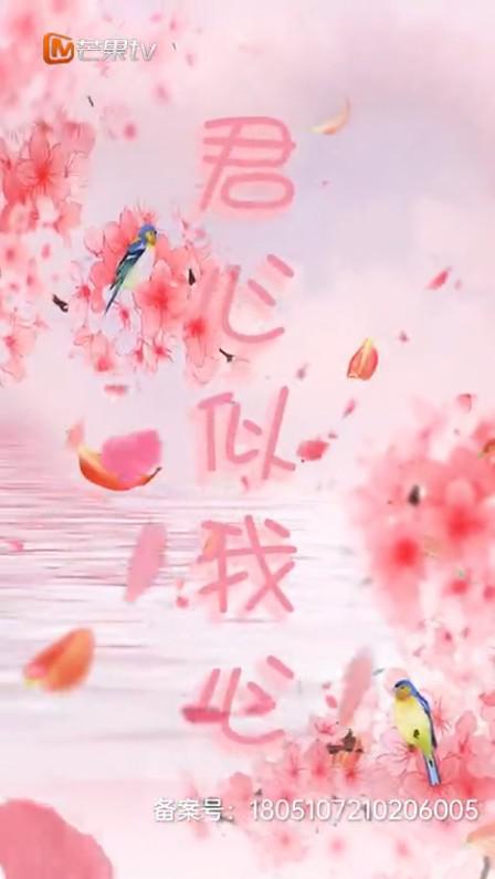 君心似我心 第03集