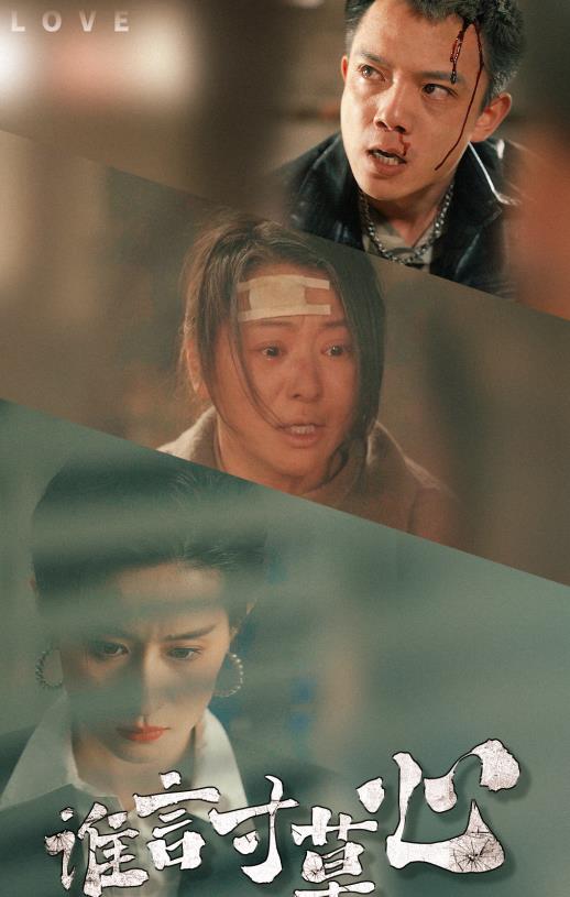 谁言寸草心 第01集