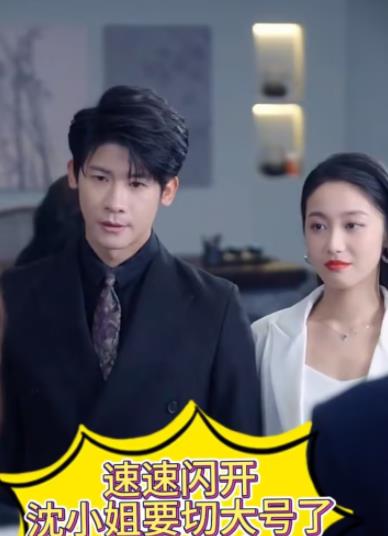 速速闪开，沈小姐要切大号了 第07集