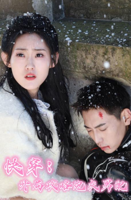 快穿：开局攻略炮灰男配 第01集