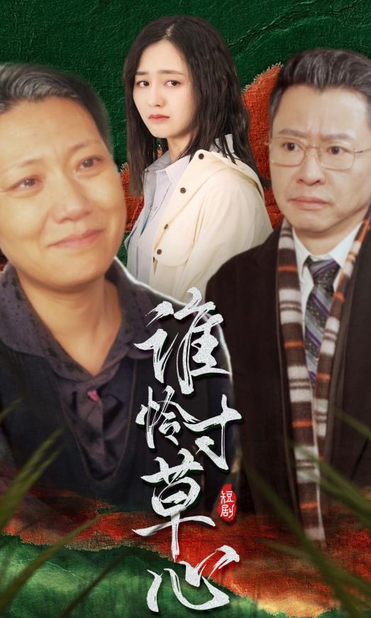 谁怜寸草心 第01集