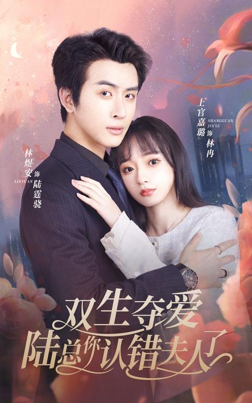 双生夺爱陆总你认错夫人了 第01集