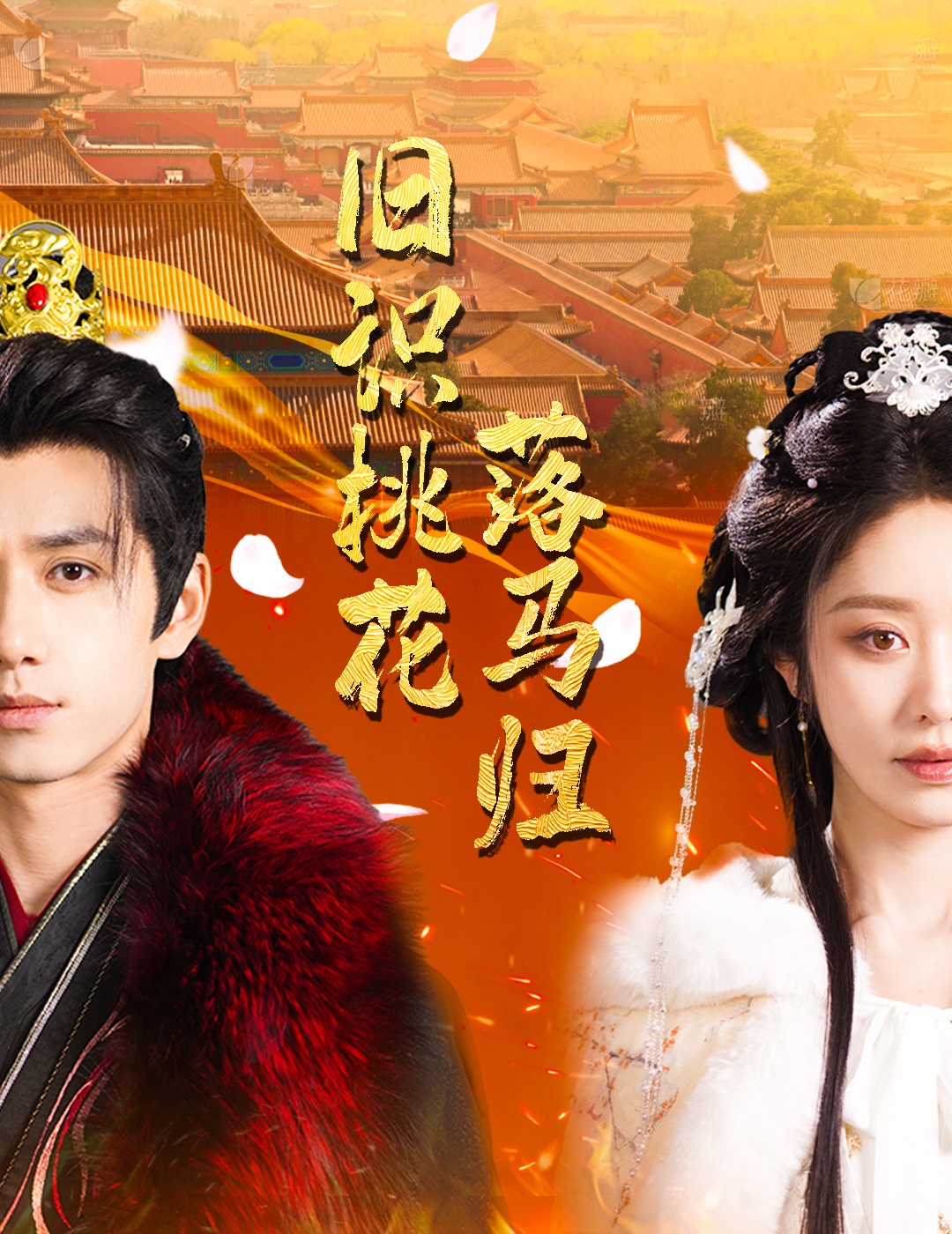 旧识桃花落马归(全集)