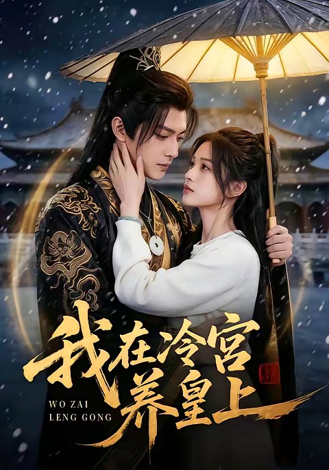 我在冷宫养皇上(全集)