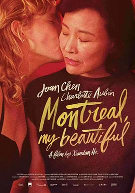 蒙特利尔，我的美人